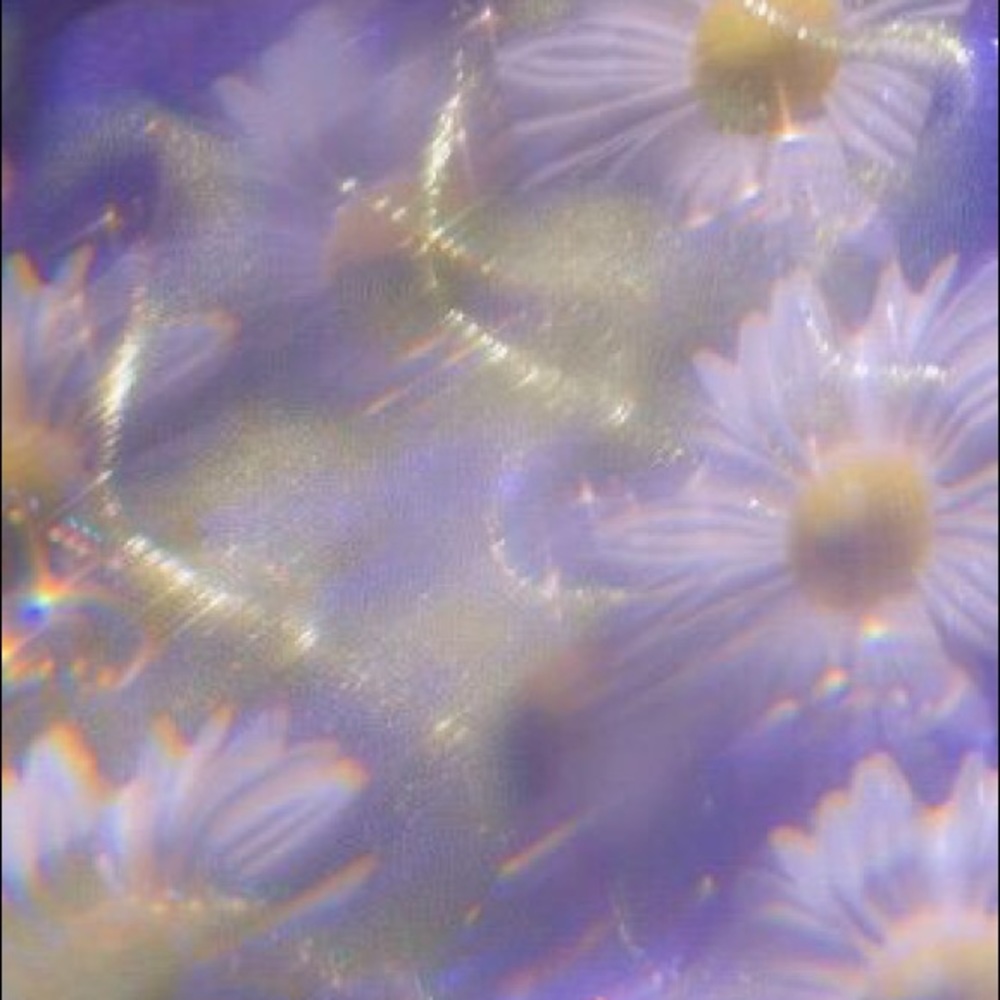 Meet your Posher, Giselle